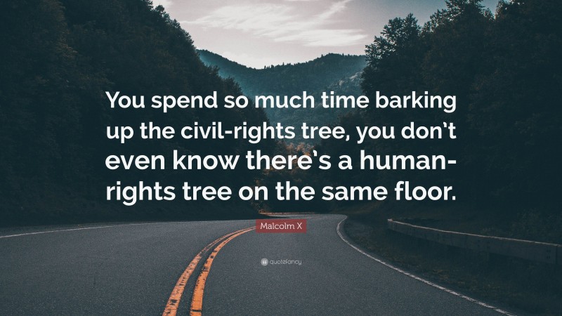 Malcolm X Quote: “You spend so much time barking up the civil-rights tree, you don’t even know there’s a human-rights tree on the same floor.”
