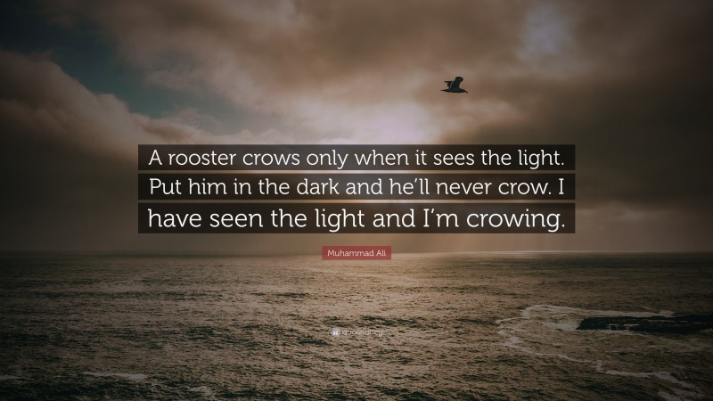 Muhammad Ali Quote: “A rooster crows only when it sees the light. Put him in the dark and he’ll never crow. I have seen the light and I’m crowing.”