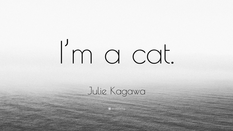 Julie Kagawa Quote: “I’m a cat.”