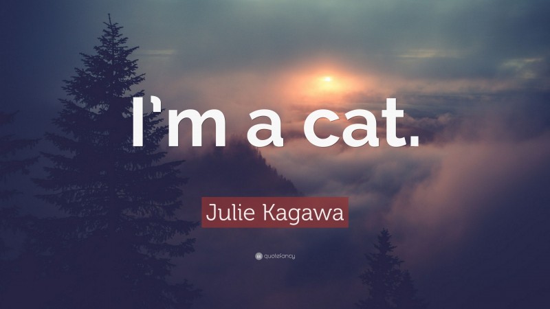 Julie Kagawa Quote: “I’m a cat.”