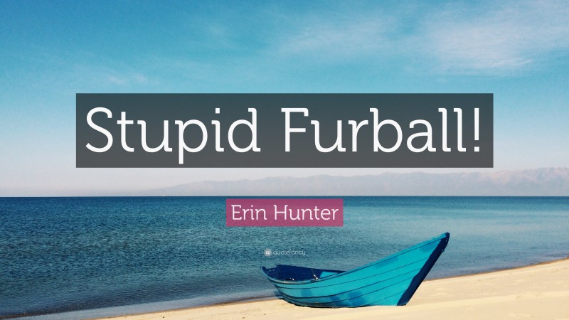 Erin Hunter Quote: “Stupid Furball!”