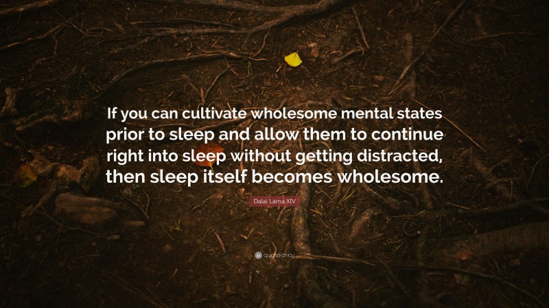 Dalai Lama XIV Quote: “If you can cultivate wholesome mental states prior to sleep and allow them to continue right into sleep without getting distracted, then sleep itself becomes wholesome.”