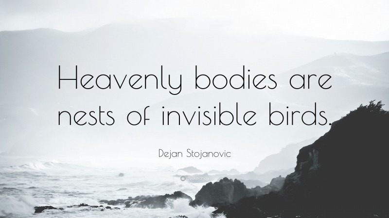 Dejan Stojanovic Quote: “Heavenly bodies are nests of invisible birds.”