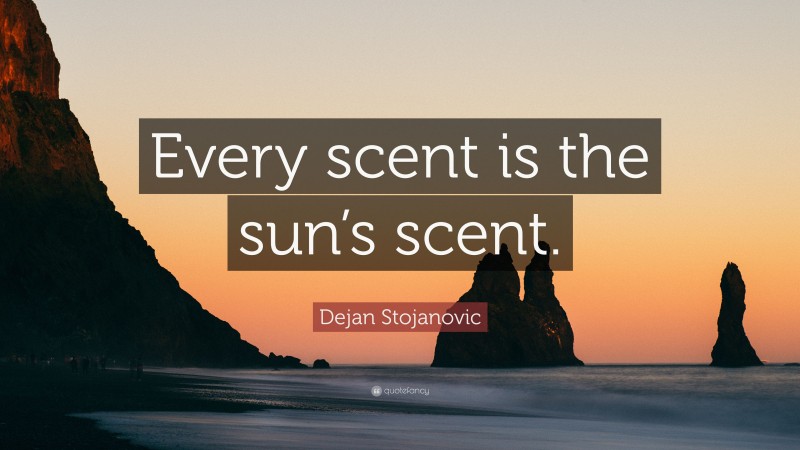 Dejan Stojanovic Quote: “Every scent is the sun’s scent.”