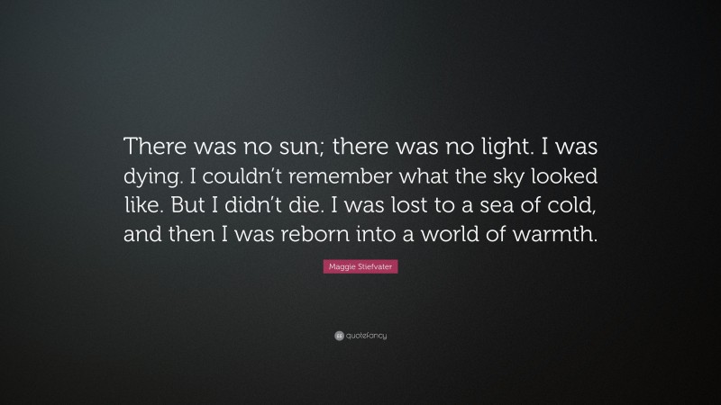 Maggie Stiefvater Quote: “There was no sun; there was no light. I was dying. I couldn’t remember what the sky looked like. But I didn’t die. I was lost to a sea of cold, and then I was reborn into a world of warmth.”