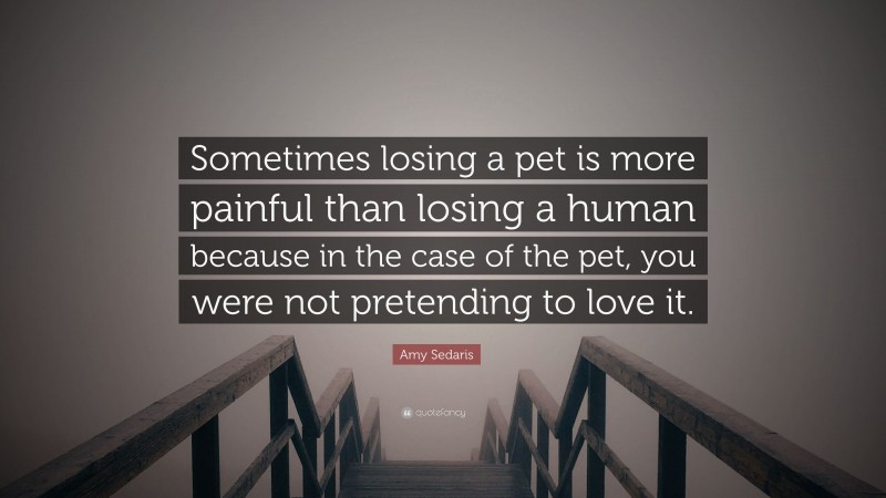 Amy Sedaris Quote: “Sometimes losing a pet is more painful than losing a human because in the case of the pet, you were not pretending to love it.”