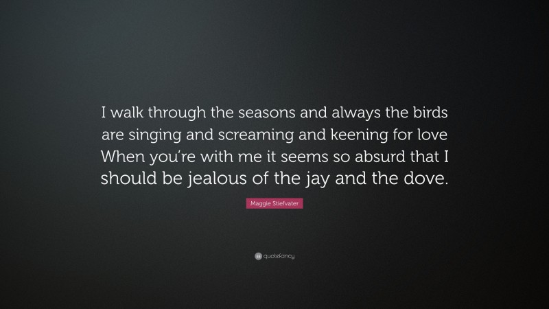 Maggie Stiefvater Quote: “I walk through the seasons and always the birds are singing and screaming and keening for love When you’re with me it seems so absurd that I should be jealous of the jay and the dove.”