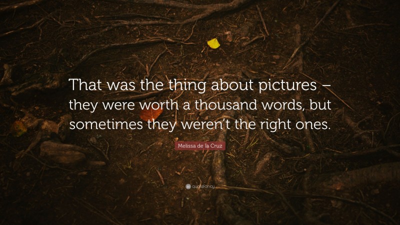 Melissa de la Cruz Quote: “That was the thing about pictures – they were worth a thousand words, but sometimes they weren’t the right ones.”