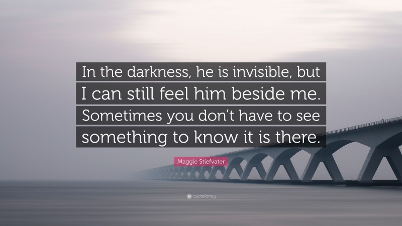 Maggie Stiefvater Quote: “In the darkness, he is invisible, but I can still feel him beside me. Sometimes you don’t have to see something to know it is there.”