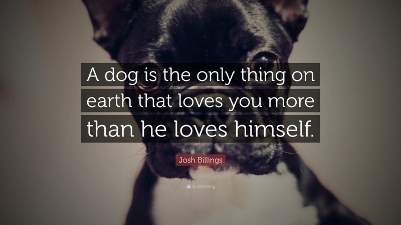 Josh Billings Quote: “A dog is the only thing on earth that loves you more than he loves himself.”