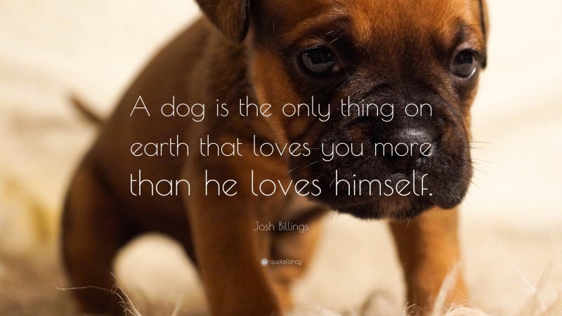 Josh Billings Quote: “A dog is the only thing on earth that loves you more than he loves himself.”