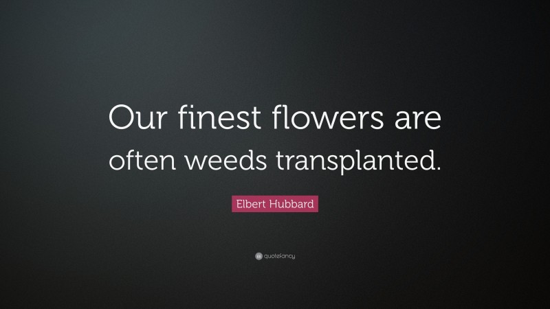 Elbert Hubbard Quote: “Our finest flowers are often weeds transplanted.”