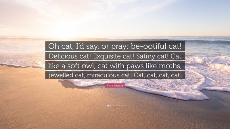 Doris Lessing Quote: “Oh cat, I’d say, or pray: be-ootiful cat! Delicious cat! Exquisite cat! Satiny cat! Cat like a soft owl, cat with paws like moths, jewelled cat, miraculous cat! Cat, cat, cat, cat.”