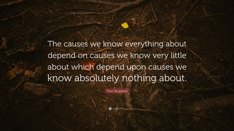Tom Stoppard Quote: “The causes we know everything about depend on causes we know very little about which depend upon causes we know absolutely nothing about.”