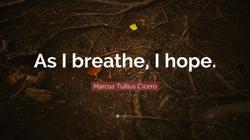 Marcus Tullius Cicero Quote: “As I breathe, I hope.”