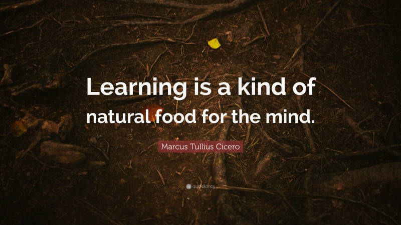 Marcus Tullius Cicero Quote: “Learning is a kind of natural food for the mind.”