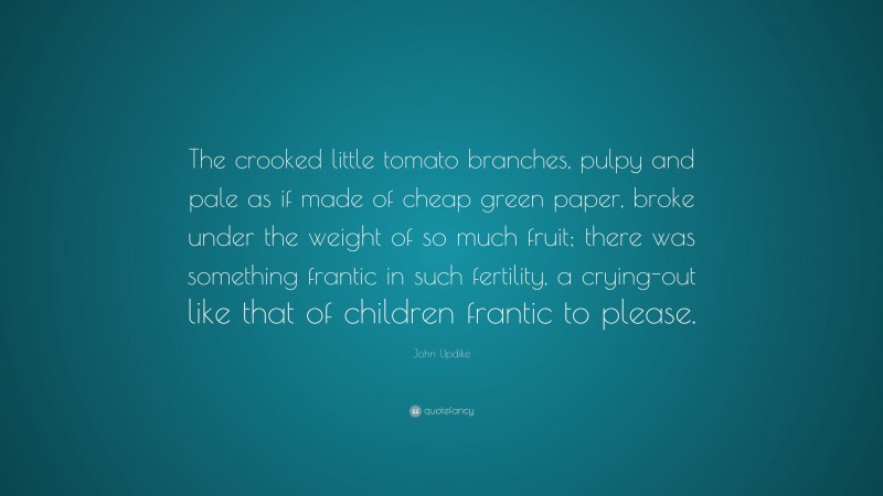 John Updike Quote: “The crooked little tomato branches, pulpy and pale as if made of cheap green paper, broke under the weight of so much fruit; there was something frantic in such fertility, a crying-out like that of children frantic to please.”