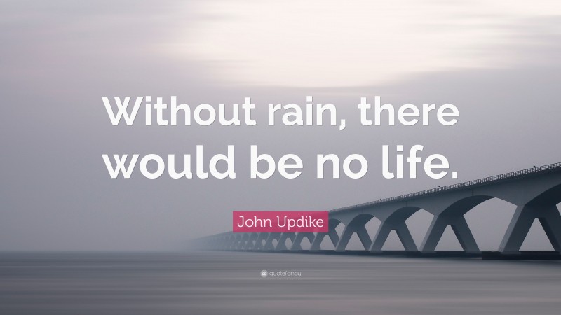 John Updike Quote: “Without rain, there would be no life.”