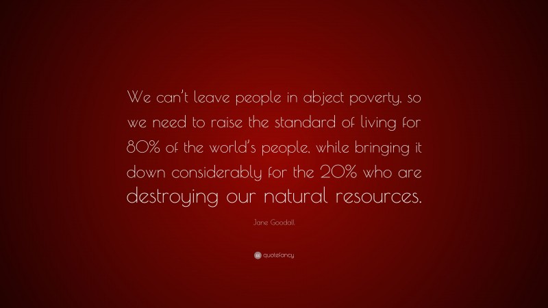 Jane Goodall Quote: “We can’t leave people in abject poverty, so we need to raise the standard of living for 80% of the world’s people, while bringing it down considerably for the 20% who are destroying our natural resources.”