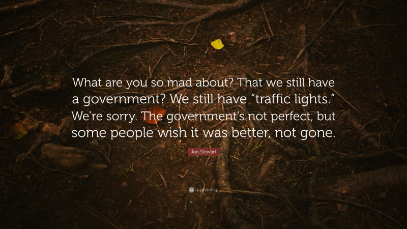 Jon Stewart Quote: “What are you so mad about? That we still have a government? We still have “traffic lights.” We’re sorry. The government’s not perfect, but some people wish it was better, not gone.”