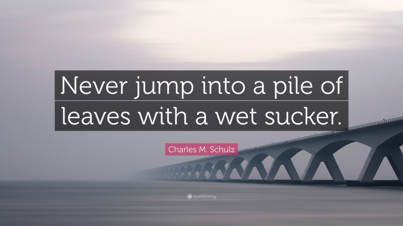 Charles M. Schulz Quote: “Never jump into a pile of leaves with a wet sucker.”