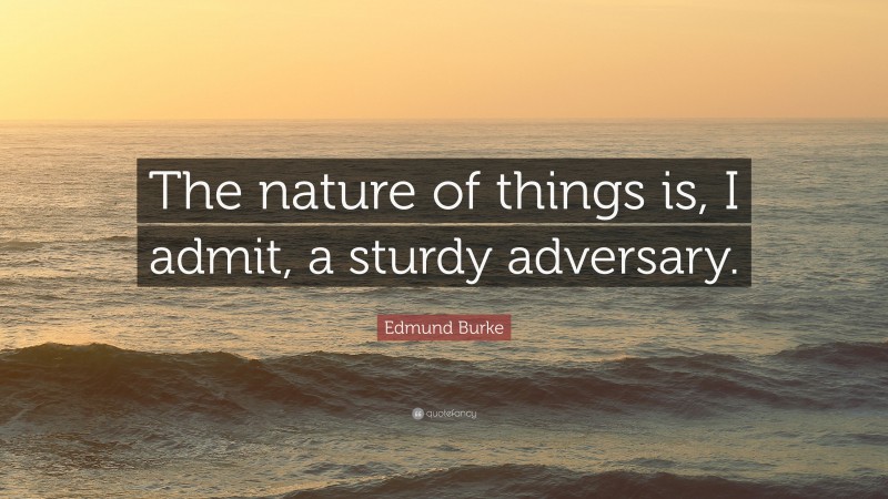 Edmund Burke Quote: “The nature of things is, I admit, a sturdy adversary.”