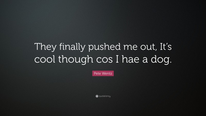 Pete Wentz Quote: “They finally pushed me out, It’s cool though cos I hae a dog.”