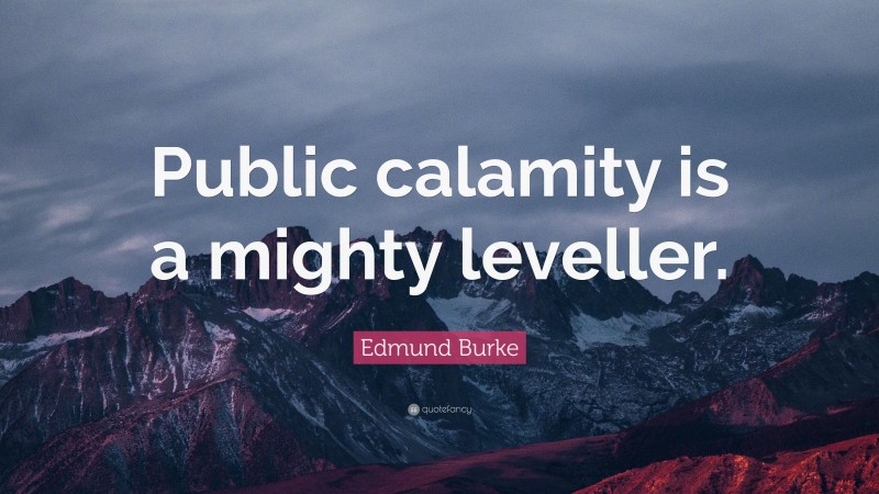 Edmund Burke Quote: “Public calamity is a mighty leveller.”