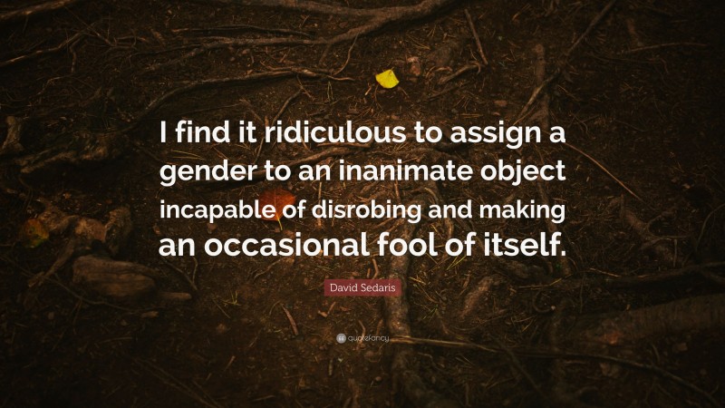 David Sedaris Quote: “I find it ridiculous to assign a gender to an inanimate object incapable of disrobing and making an occasional fool of itself.”