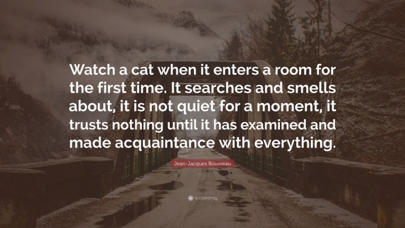 Jean-Jacques Rousseau Quote: “Watch a cat when it enters a room for the first time. It searches and smells about, it is not quiet for a moment, it trusts nothing until it has examined and made acquaintance with everything.”