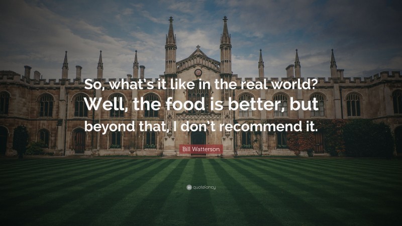 Bill Watterson Quote: “So, what’s it like in the real world? Well, the food is better, but beyond that, I don’t recommend it.”