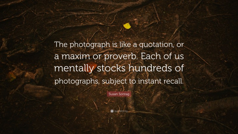 Susan Sontag Quote: “The photograph is like a quotation, or a maxim or proverb. Each of us mentally stocks hundreds of photographs, subject to instant recall.”