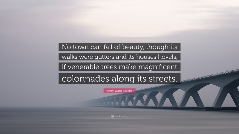 Henry Ward Beecher Quote: “No town can fail of beauty, though its walks were gutters and its houses hovels, if venerable trees make magnificent colonnades along its streets.”