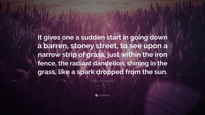 Henry Ward Beecher Quote: “It gives one a sudden start in going down a barren, stoney street, to see upon a narrow strip of grass, just within the iron fence, the radiant dandelion, shining in the grass, like a spark dropped from the sun.”