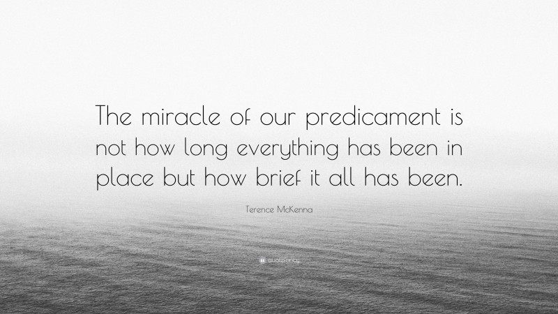 Terence McKenna Quote: “The miracle of our predicament is not how long everything has been in place but how brief it all has been.”