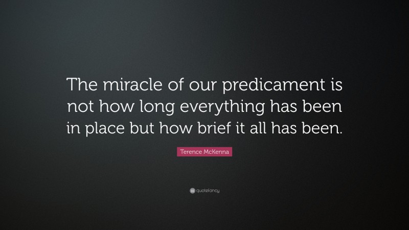 Terence McKenna Quote: “The miracle of our predicament is not how long everything has been in place but how brief it all has been.”