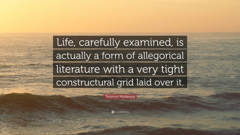 Terence McKenna Quote: “Life, carefully examined, is actually a form of allegorical literature with a very tight constructural grid laid over it.”