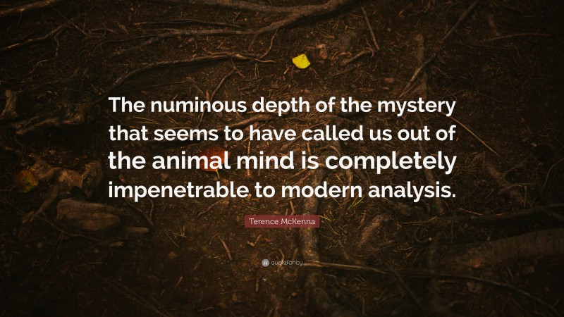 Terence McKenna Quote: “The numinous depth of the mystery that seems to have called us out of the animal mind is completely impenetrable to modern analysis.”
