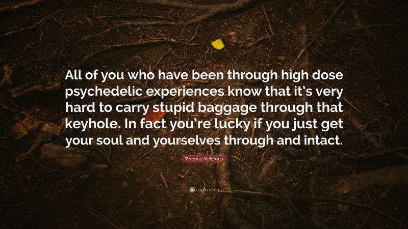 Terence McKenna Quote: “All of you who have been through high dose psychedelic experiences know that it’s very hard to carry stupid baggage through that keyhole. In fact you’re lucky if you just get your soul and yourselves through and intact.”