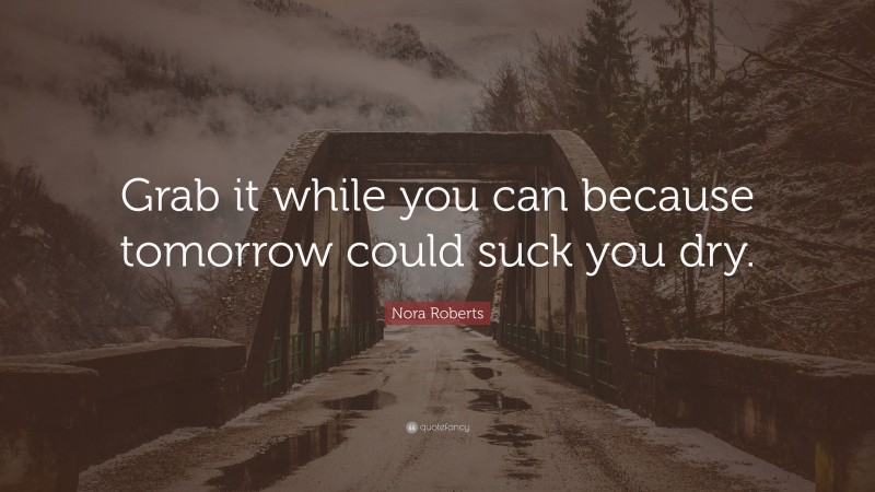 Nora Roberts Quote: “Grab it while you can because tomorrow could suck you dry.”