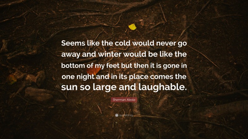 Sherman Alexie Quote: “Seems like the cold would never go away and winter would be like the bottom of my feet but then it is gone in one night and in its place comes the sun so large and laughable.”