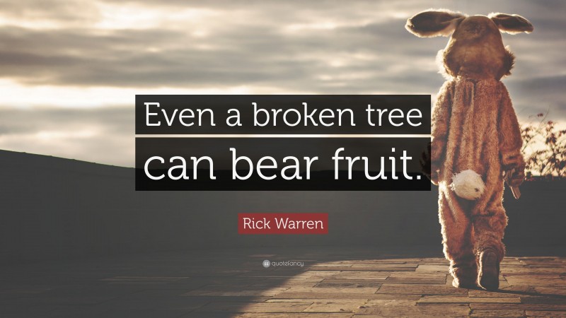 Rick Warren Quote: “Even a broken tree can bear fruit.”