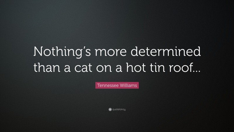 Tennessee Williams Quote: “Nothing’s more determined than a cat on a hot tin roof...”