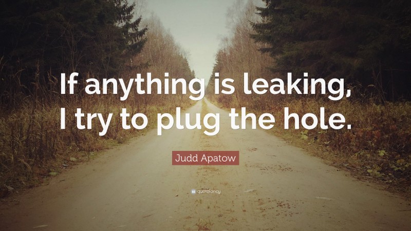Judd Apatow Quote: “If anything is leaking, I try to plug the hole.”