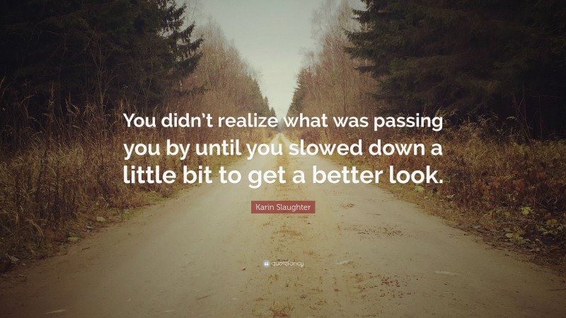 Karin Slaughter Quote: “You didn’t realize what was passing you by until you slowed down a little bit to get a better look.”