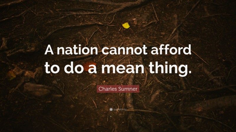 Charles Sumner Quote: “A nation cannot afford to do a mean thing.”