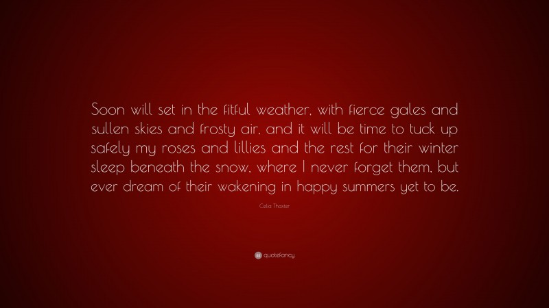 Celia Thaxter Quote: “Soon will set in the fitful weather, with fierce gales and sullen skies and frosty air, and it will be time to tuck up safely my roses and lillies and the rest for their winter sleep beneath the snow, where I never forget them, but ever dream of their wakening in happy summers yet to be.”