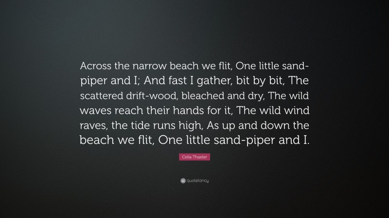Celia Thaxter Quote: “Across the narrow beach we flit, One little sand-piper and I; And fast I gather, bit by bit, The scattered drift-wood, bleached and dry, The wild waves reach their hands for it, The wild wind raves, the tide runs high, As up and down the beach we flit, One little sand-piper and I.”