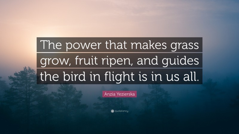 Anzia Yezierska Quote: “The power that makes grass grow, fruit ripen, and guides the bird in flight is in us all.”