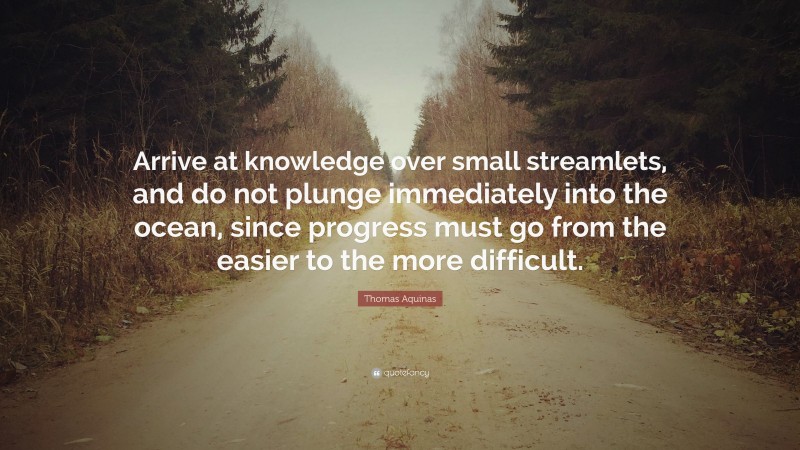 Thomas Aquinas Quote: “Arrive at knowledge over small streamlets, and do not plunge immediately into the ocean, since progress must go from the easier to the more difficult.”